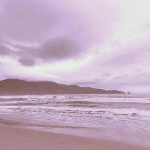 美女漏阴视频在线观看
